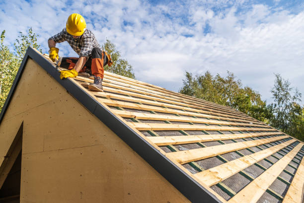 Best Roof Gutter Cleaning  in Cranston, RI